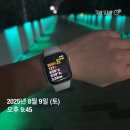 송원서로1L-8 | 두 달 -8kg 뱃살 뺀 다이어트 성공후기 (헬스장 X, 홈트, 육아맘도 성공한 방법 공유)