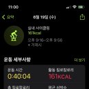 박스거제