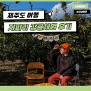태수농장 | 제주 감귤체험 농장 추천 서귀포 자파리체험장 포토존 내돈내산