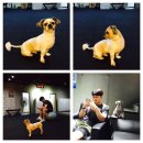 민구축산 이미지