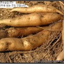 몸사랑농장 이미지