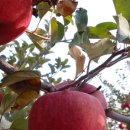 달밭농장 이미지