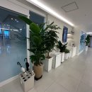 연세강남정형외과의원 이미지