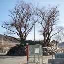 죽포보건진료소 이미지