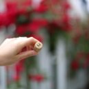 수원-0324 이미지