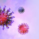 중앙수퍼 이미지