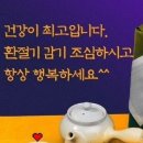 마음담아 Daum카페