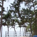 꽃지아일랜드 이미지