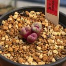 소성우체국 이미지