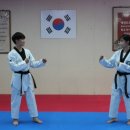 영광태권도체육관 이미지