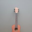 우쿨렐레(중급) 이미지