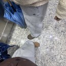 아.빠.찜 | 단식으로 시작해 과식으로 끝나는 블로그 (푸드올로지 클렌즈주스 후기를 포함하고 있습니다.)