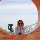 정인목장 Daum카페
