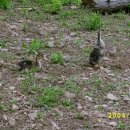 노내골흙집 이미지