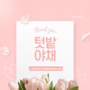 텃밭야채반찬 이미지
