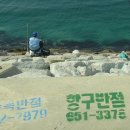 안녕동해야 이미지