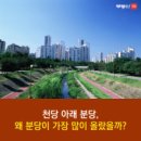 분당-114 이미지