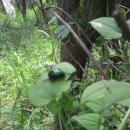 고향산천농장 이미지