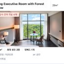 카페써드포레스트 | 서울 근교 가성비 대만족 호캉스 내돈내산 추천! 판교 더블트리 호텔 포레스트뷰 이그제큐티브 킹룸