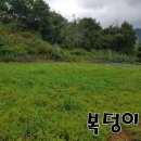 어질농장 이미지