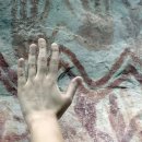 아마존펫 이미지