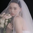 뉴데이헤어 네이버블로그