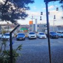 바다식당 | 강화군맛집 바다보다 - 강화도애견동반맛집 식당·카페 후기