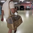 강아지랑나랑 | 여름에도 시원하게! 나랑파티 강아지이동가방 사용 후기