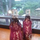 저수지민물장어집 이미지