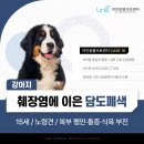 365동물병원 | 15세 노령견, 췌장염에 이은 담도폐색 케이스 - 고양·일산 동물병원 치료 후기