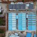 가람태양광발전소 이미지