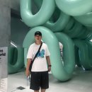 테스터스 | 트렁크 팬티만큼 편안한 데님 반바지 (스스므 테스터스 - 리테일)
