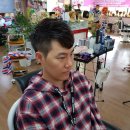 최신이용소 이미지