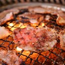 다모아여행사 - 제주시 | 다모아여행사