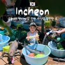 차가미소짓는곳 | 인천 반디세상 숲놀이터 내돈내산 후기 아기랑 갈만한 곳 추천