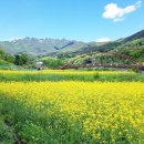 해인사소리길 이미지