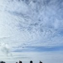 하동 730 이미지