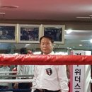 진해 복싱체육관 이미지