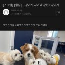 유부남 - 부평구 마장로 489 | 파주 출판단지 지지향 북스테이 후기(feat. 유부남이 혼잠을 할 때)