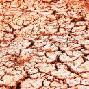 종각한의원 이미지