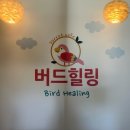 버드힐링앵무새카페 네이버블로그