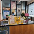 신촌애견미용실 이미지