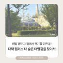 누리12태양광발전소 | [솔라크루] 매일 걷던 그 길에서 전기를 만든다? 대학 캠퍼스 내 숨은 태양광을 찾아서