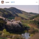 용비농장 이미지