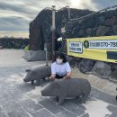 판포서프 이미지
