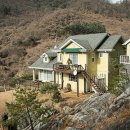 씨네마펜션 이미지