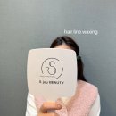 강남에스라인 이미지