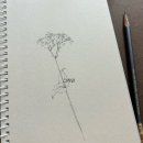 연필드로잉 이미지