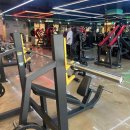 핏플러스짐 헬스&PT 안성공도 진사리점 | 안성 핏플러스 헬스&amp;PT 공도진사리점 완전 마음에 든 헬스장 후기