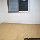 싱글벙글복어석적 이미지